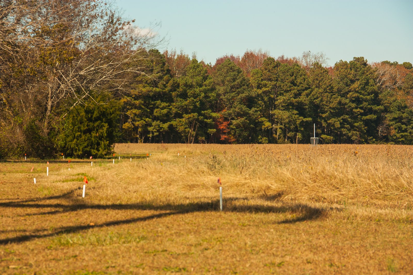 Luxury Disc Golf Club & Camping Website Development