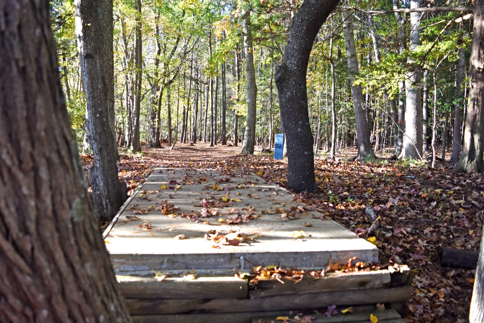 Luxury Disc Golf Club & Camping Website Development